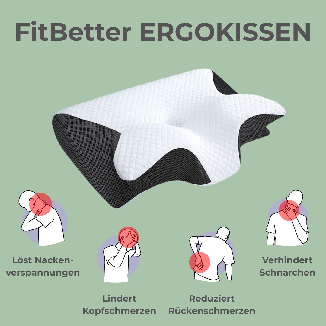Ergokissen